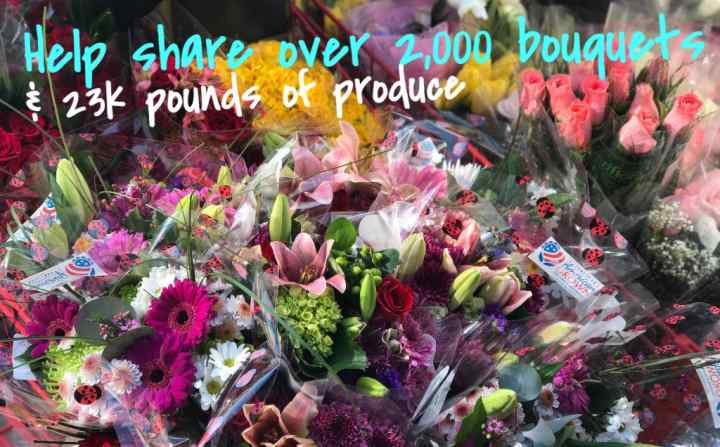 Community Solidarity shares flowers year round. Community Solidarity shares flowers year round.