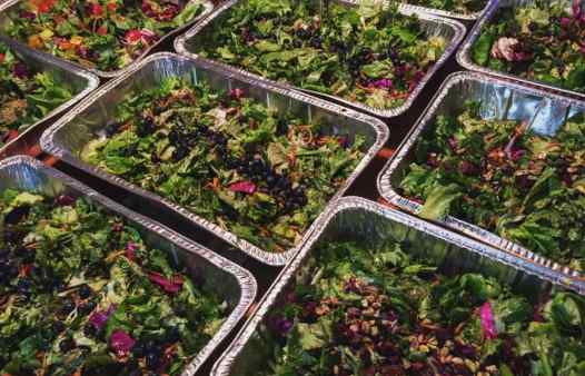 Prepared Salads for the Community Solidarity Vegan Thanksgiving, the world's largest.