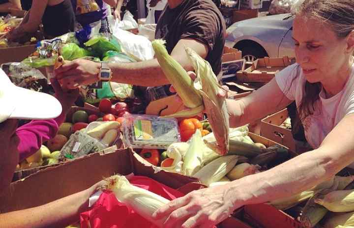 Roze Zacchi sharing tons of produce at the Community Solidarity Hempstead Food Share