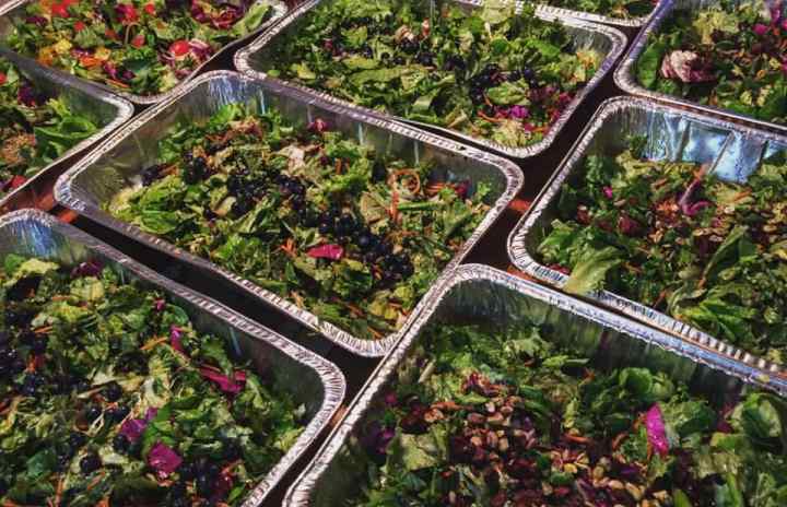 Prepared Salads for the Community Solidarity Vegan Thanksgiving, the world's largest.
