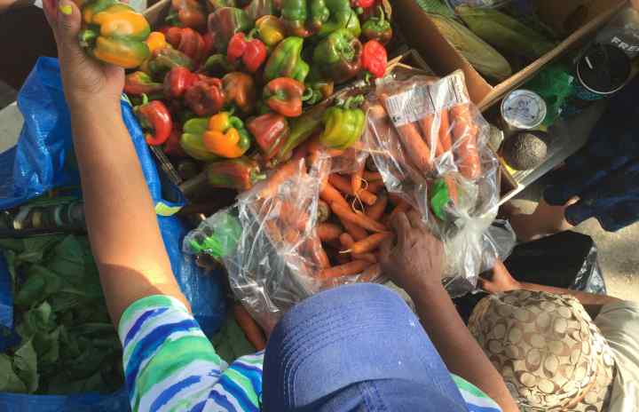 Sharing peppers at the Community Solidarity Bedstuy Food Share