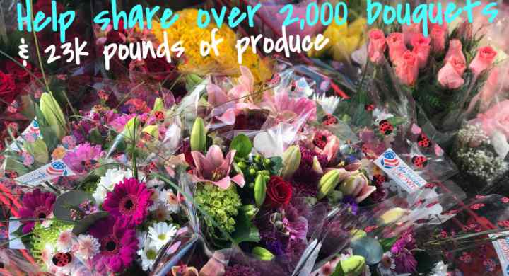 Community Solidarity shares flowers year round. Community Solidarity shares flowers year round.