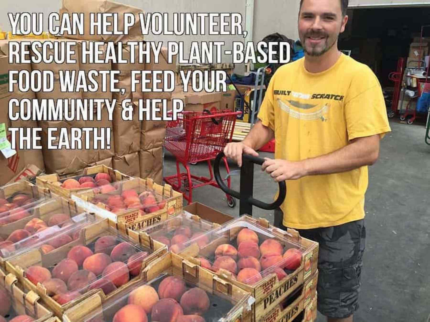 rescuing food donations